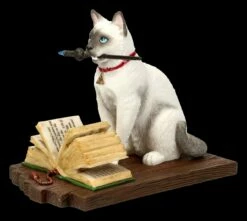 Katzen Figur - Hocus Pocus -FIGUREN Verkäufe FS20886 Katzen Figur Hocus Pocus 3 1280x1280