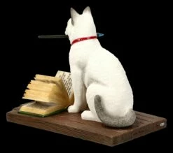 Katzen Figur - Hocus Pocus -FIGUREN Verkäufe FS20886 Katzen Figur Hocus Pocus 5 1280x1280