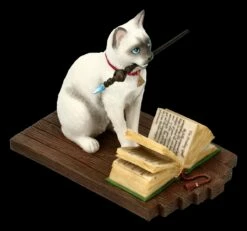 Katzen Figur - Hocus Pocus -FIGUREN Verkäufe FS20886 Katzen Figur Hocus Pocus 8 1280x1280