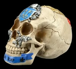 Totenkopf Ritter Der Tafelrunde - Sir Kay -FIGUREN Verkäufe FS21249 Totenkopf Sir Kay 35X8fzrh9Uhxem 1280x1280
