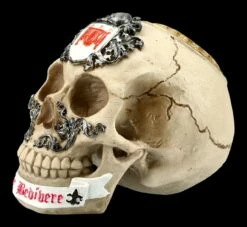 Totenkopf Ritter Der Tafelrunde - Sir Bedivere -FIGUREN Verkäufe FS21250 Totenkopf Sir Bedivere 3 1280x1280