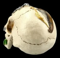 Totenkopf Ritter Der Tafelrunde - Sir Tristan 12 Totenkopf Ritter Der Tafelrunde - Sir Tristan -FIGUREN Verkäufe FS21253 Totenkopf Sir Tristan 5 1280x1280