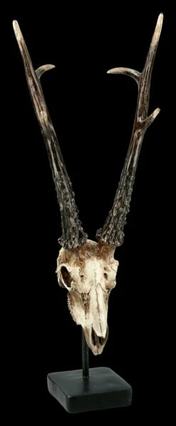 Rehbock Totenkopf Auf Metall Ständer -FIGUREN Verkäufe FS21254 Antilopen Totenkopf auf Metall Staender 1 1280x1280