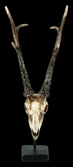 Rehbock Totenkopf Auf Metall Ständer -FIGUREN Verkäufe FS21254 Antilopen Totenkopf auf Metall Staender 2 1280x1280