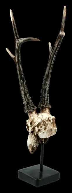 Rehbock Totenkopf Auf Metall Ständer -FIGUREN Verkäufe FS21254 Antilopen Totenkopf auf Metall Staender 5 1280x1280