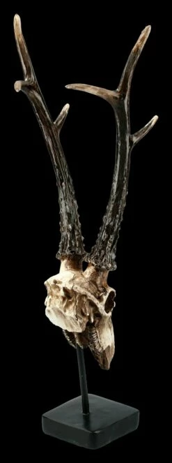 Rehbock Totenkopf Auf Metall Ständer -FIGUREN Verkäufe FS21254 Antilopen Totenkopf auf Metall Staender 7 1280x1280