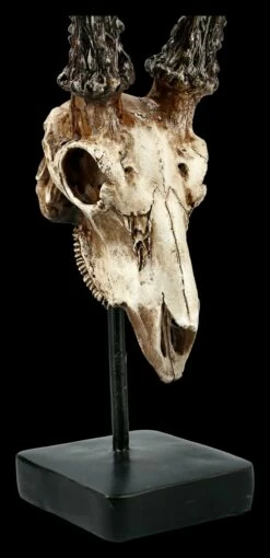 Rehbock Totenkopf Auf Metall Ständer -FIGUREN Verkäufe FS21254 Antilopen Totenkopf auf Metall Staender 8 1280x1280