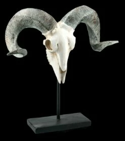 Widder Totenkopf Auf Metall Ständer