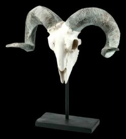 Widder Totenkopf Auf Metall Ständer -FIGUREN Verkäufe FS21256 Widder Totenkopf auf Metall Staender 2 1280x1280