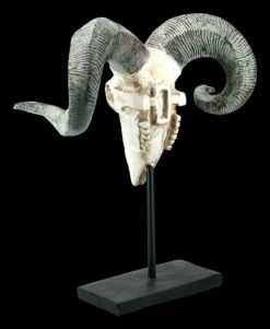 Widder Totenkopf Auf Metall Ständer -FIGUREN Verkäufe FS21256 Widder Totenkopf auf Metall Staender 5 1280x1280