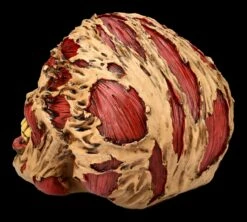 Zombie Totenkopf - The Hoard -FIGUREN Verkäufe FS21313 Zombie Totenkopf The Hoard 5jnqv1y9rMPGzZ 1280x1280