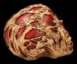 Zombie Totenkopf - The Hoard -FIGUREN Verkäufe FS21313 Zombie Totenkopf The Hoard 8NoITnw4Hdz7sI 1280x1280