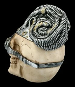Totenkopf Schatulle - Steampunk Rasta 11 Totenkopf Schatulle - Steampunk Rasta -FIGUREN Verkäufe FS21552 Totenkopf Schatulle Steampunk Rasta 5 1280x1280