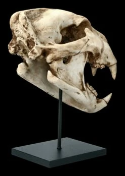 Löwen Totenkopf Auf Metall Ständer 12 Löwen Totenkopf Auf Metall Ständer -FIGUREN Verkäufe FS21620 Loewen Totenkopf auf Metall Staender 5 1280x1280