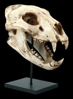 Löwen Totenkopf Auf Metall Ständer 13 Löwen Totenkopf Auf Metall Ständer -FIGUREN Verkäufe FS21620 Loewen Totenkopf auf Metall Staender 7 1280x1280