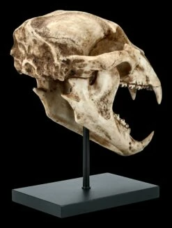 Schwarzbär Totenkopf Auf Metall Ständer -FIGUREN Verkäufe FS21621 Schwarzbaer Totenkopf auf Metall Staender 5 1280x1280