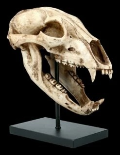 Schwarzbär Totenkopf Auf Metall Ständer -FIGUREN Verkäufe FS21621 Schwarzbaer Totenkopf auf Metall Staender 7 1280x1280