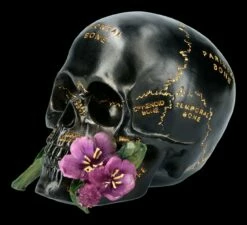 Schwarzer Totenkopf Mit Beschriftung Und Blume 9 Schwarzer Totenkopf Mit Beschriftung Und Blume -FIGUREN Verkäufe FS21660 Totenkopf mit Blume 3 1280x1280