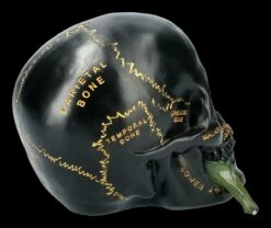 Schwarzer Totenkopf Mit Beschriftung Und Blume 11 Schwarzer Totenkopf Mit Beschriftung Und Blume -FIGUREN Verkäufe FS21660 Totenkopf mit Blume 8 1280x1280