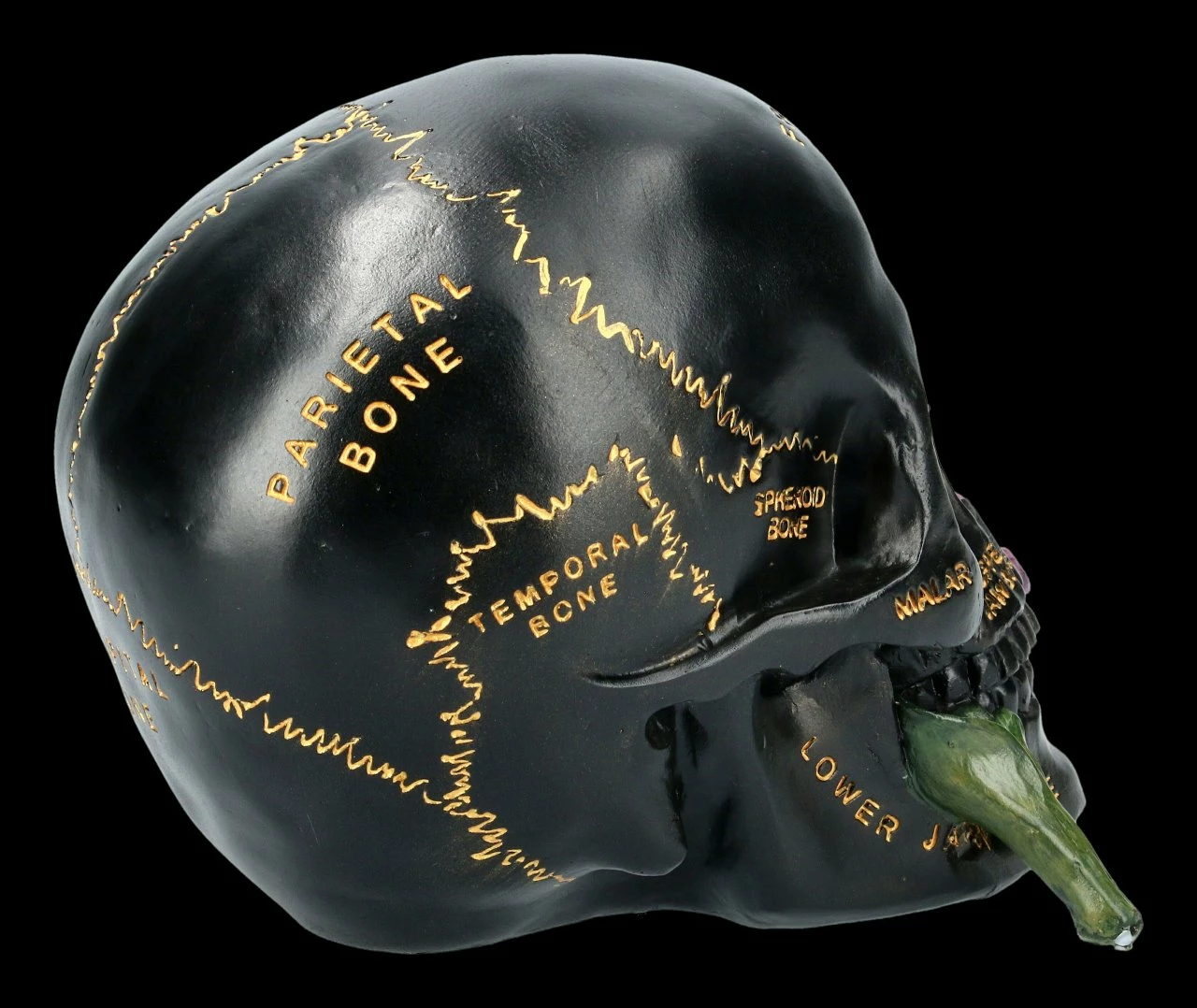 Schwarzer Totenkopf Mit Beschriftung Und Blume 7 Schwarzer Totenkopf Mit Beschriftung Und Blume – Bild 5