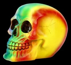 Totenkopf - Regenbogen -FIGUREN Verkäufe FS21681 Totenkopf Rainbow 3PcxL4dZl4jFxw 1280x1280
