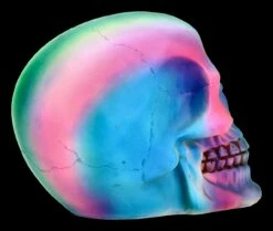 Totenkopf - Regenbogen -FIGUREN Verkäufe FS21681 Totenkopf Rainbow 8nNPMd3MQW53uj 1280x1280