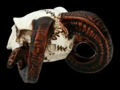 Alchemy Widderschädel - Klein -FIGUREN Verkäufe FS21894 Alchemy Widderschaedel klein 6 1280x1280