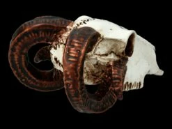 Alchemy Widderschädel - Klein -FIGUREN Verkäufe FS21894 Alchemy Widderschaedel klein 8 1280x1280