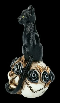 Alchemy Katze Auf Schädel - Klein 10 Alchemy Katze Auf Schädel - Klein -FIGUREN Verkäufe FS21896 Alchemy Katze auf Schaedel klein 5 1280x1280
