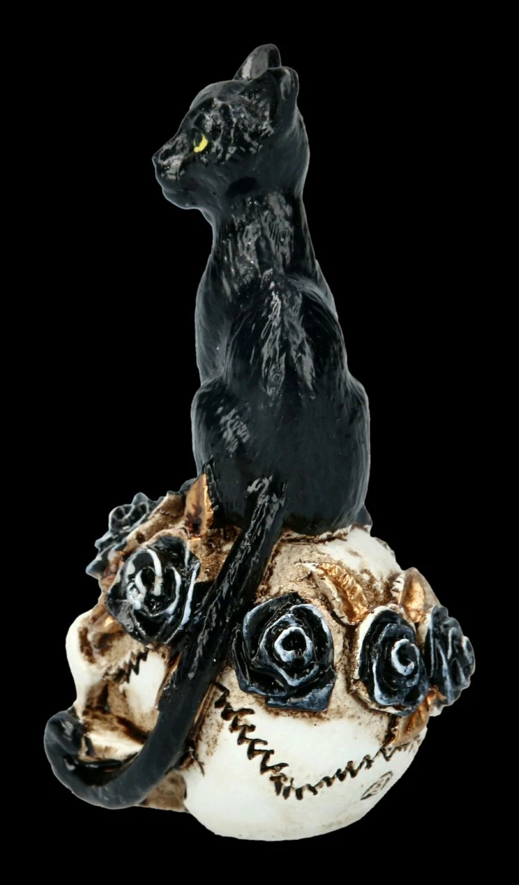 Alchemy Katze Auf Schädel - Klein 5 Alchemy Katze Auf Schädel - Klein – Bild 3