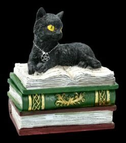 Schatulle - Katze Auf Grünen Büchern -FIGUREN Verkäufe FS21977 Schatulle Katze auf greunen Buechern 1 1280x1280