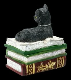 Schatulle - Katze Auf Grünen Büchern -FIGUREN Verkäufe FS21977 Schatulle Katze auf greunen Buechern 5 1280x1280