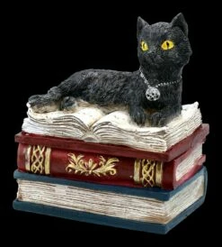 Schatulle - Katze Auf Roten Büchern -FIGUREN Verkäufe FS21978 Schatulle Katze auf roten Buechern 2 1280x1280