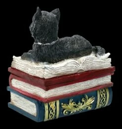 Schatulle - Katze Auf Roten Büchern -FIGUREN Verkäufe FS21978 Schatulle Katze auf roten Buechern 5 1280x1280