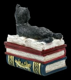 Schatulle - Katze Auf Roten Büchern -FIGUREN Verkäufe FS21978 Schatulle Katze auf roten Buechern 7 1280x1280