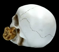 Weißer Totenkopf Mit Rose - Floral Fate -FIGUREN Verkäufe FS22277 Weisser Totenkopf mit Rose Floral Fate 5 1280x1280