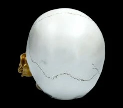 Weißer Totenkopf Mit Rose - Floral Fate -FIGUREN Verkäufe FS22277 Weisser Totenkopf mit Rose Floral Fate 6 1280x1280