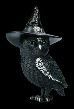 NEMESIS NOW Eulen Figur - Hexe Owlocen -FIGUREN Verkäufe FS22437 Eulen Figur Hexe Owlocen 1 1280x1280