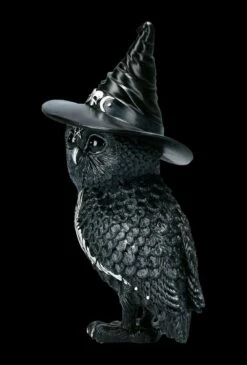 NEMESIS NOW Eulen Figur - Hexe Owlocen -FIGUREN Verkäufe FS22437 Eulen Figur Hexe Owlocen 3 1280x1280