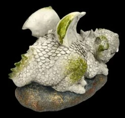 Gartenfigur Drache Sonnt Sich - Siesta -FIGUREN Verkäufe FS24887 Gaartenfigur Drache sonnt sich Siesta 5 1280x1280