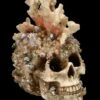 Totenkopf Figur Mit Korallen Bewachsen -FIGUREN Verkäufe FS24902 Totenkopf Figur mit Korallen bewachsen 10 1280x1280