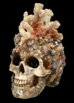 Totenkopf Figur Mit Korallen Bewachsen 11 Totenkopf Figur Mit Korallen Bewachsen -FIGUREN Verkäufe FS24902 Totenkopf Figur mit Korallen bewachsen 2 1280x1280