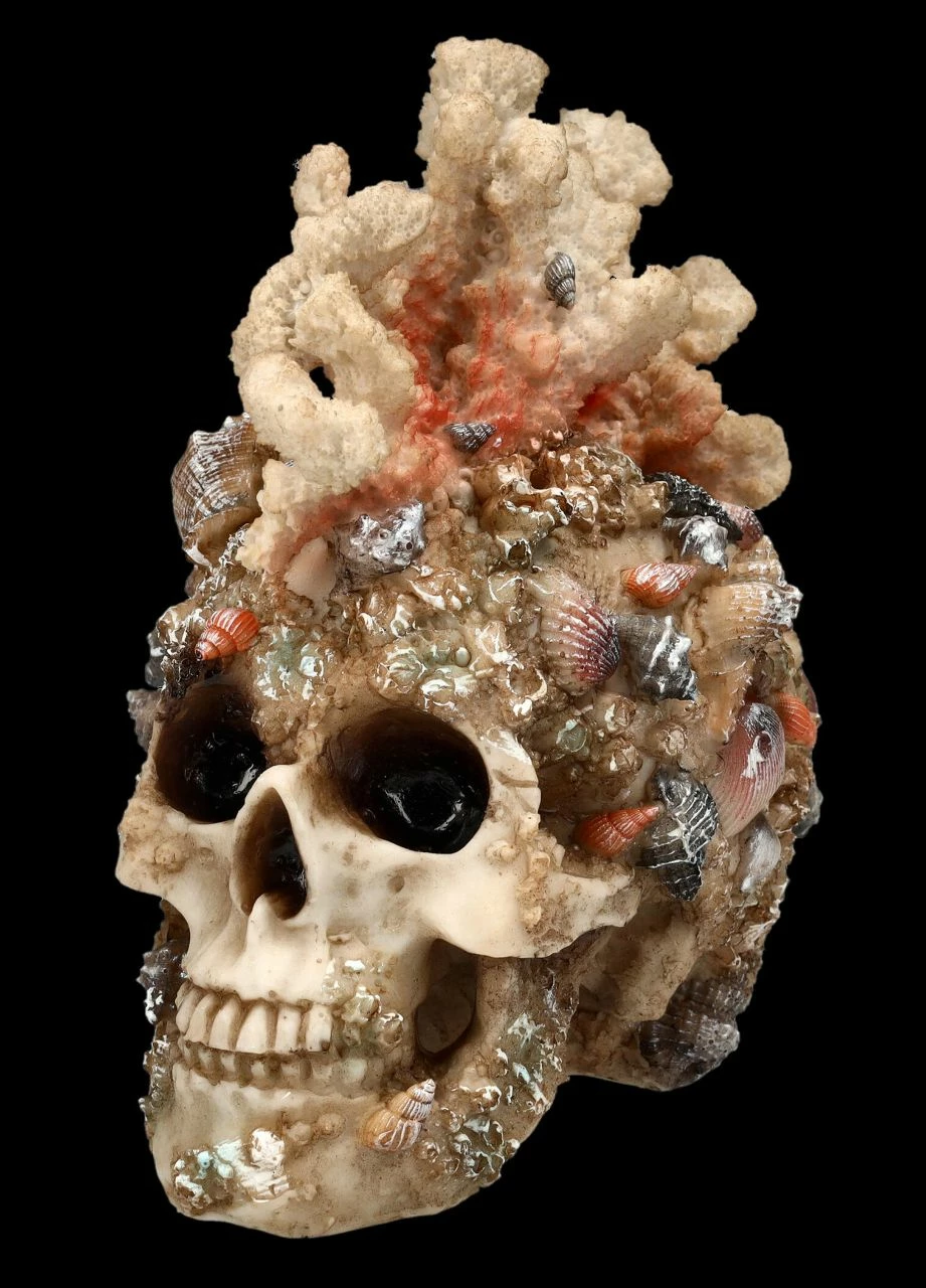 Totenkopf Figur Mit Korallen Bewachsen 5 Totenkopf Figur Mit Korallen Bewachsen – Bild 3