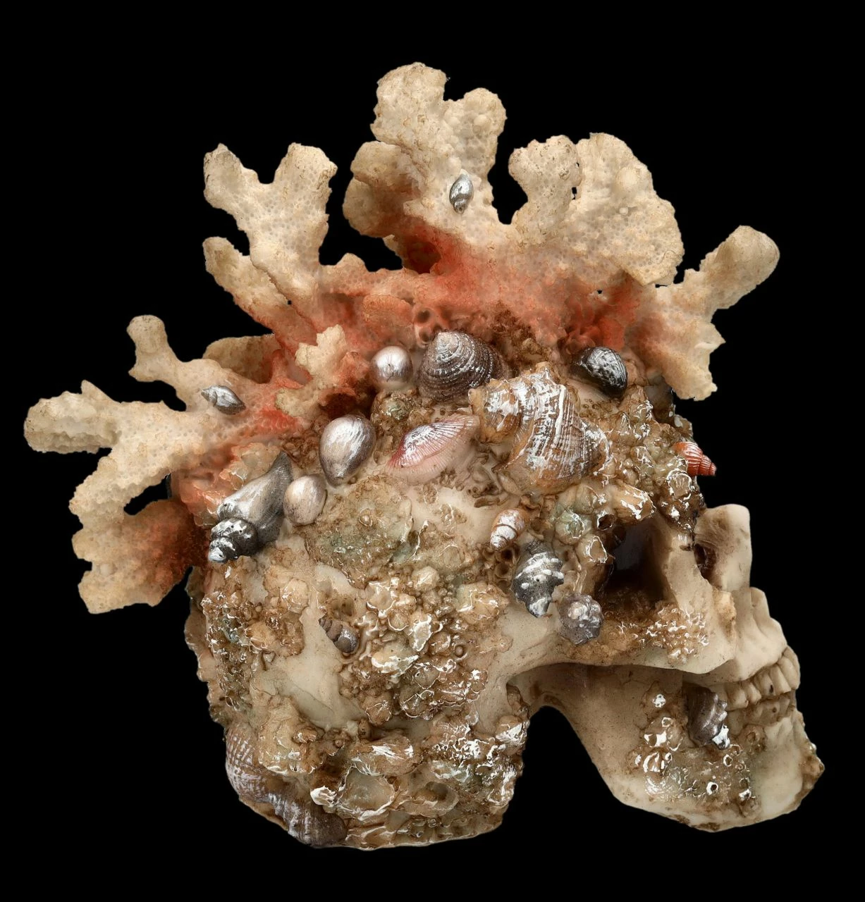 Totenkopf Figur Mit Korallen Bewachsen 8 Totenkopf Figur Mit Korallen Bewachsen – Bild 6