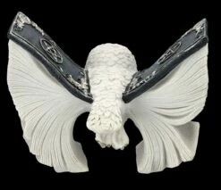 Eulen Figur Weiß - Botschafterin Mit Buchflügeln 14 Eulen Figur Weiß - Botschafterin Mit Buchflügeln -FIGUREN Verkäufe FS25622 Eulen Figur weiss Botschafter mit Buchfl geln 6 1280x1280