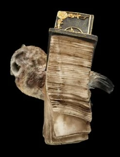 Eulen Figur Braun - Botschafterin Mit Buchflügeln 13 Eulen Figur Braun - Botschafterin Mit Buchflügeln -FIGUREN Verkäufe FS25623 Eulen Figur braun Botschafter mit Buchfl geln 4 1280x1280