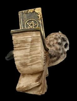 Eulen Figur Braun - Botschafterin Mit Buchflügeln 15 Eulen Figur Braun - Botschafterin Mit Buchflügeln -FIGUREN Verkäufe FS25623 Eulen Figur braun Botschafter mit Buchfl geln 8 1280x1280