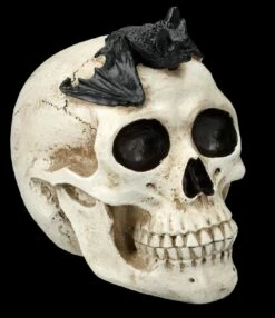 Totenkopf Mit Fledermaus