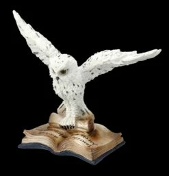 Schneeeulen Figur - Botschaft Für Den Magier -FIGUREN Verkäufe FS25784 Schneeeulen Figur Botschaft f r den Magier 2 1280x1280