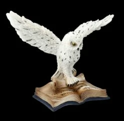 Schneeeulen Figur - Botschaft Für Den Magier -FIGUREN Verkäufe FS25784 Schneeeulen Figur Botschaft f r den Magier 9 1280x1280
